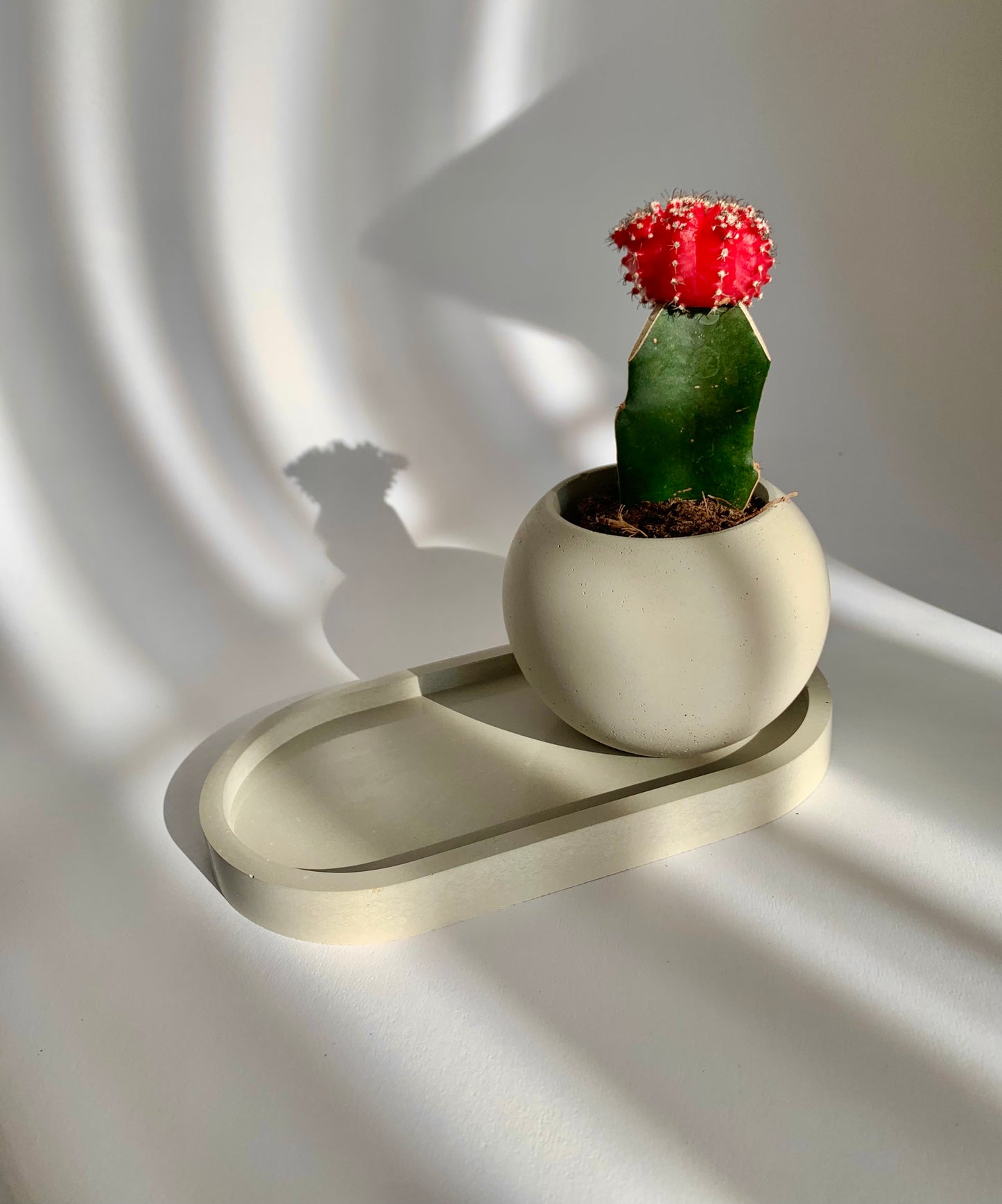 Oval Display Tray