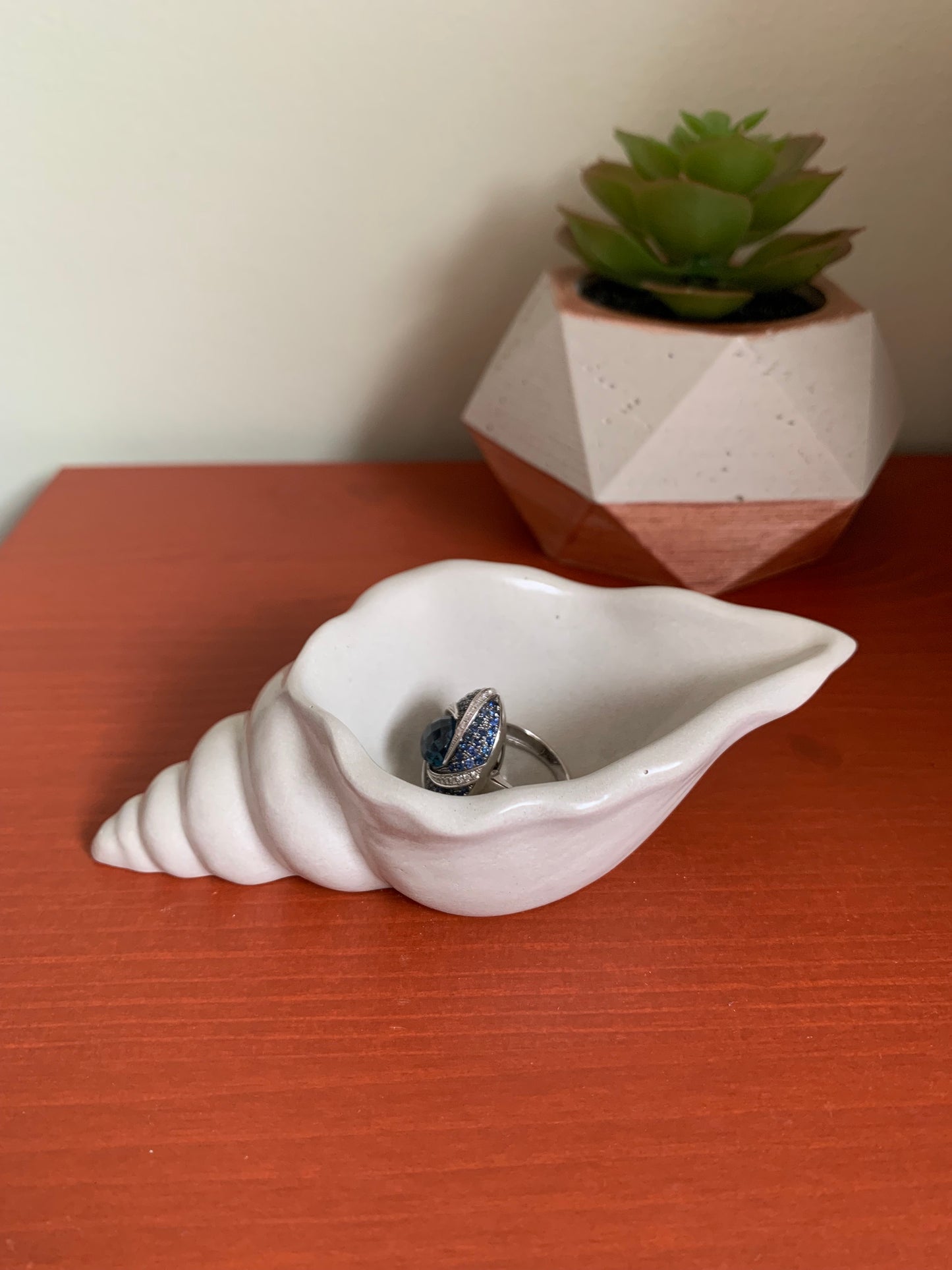 Seashell Trinket Tray
