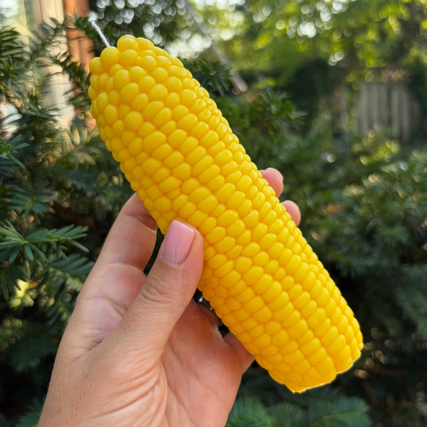 Corn Cob Full Size